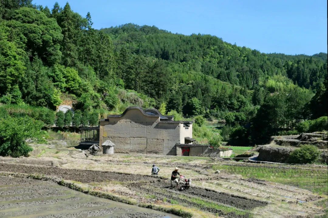 海美、小吃巨好吃！这个神还原游戏世界的小城，不该这样被埋没！