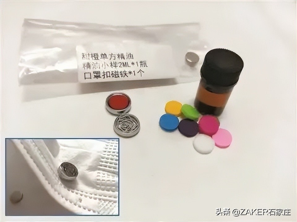 石家庄大熊猫贤贤还活着吗,大熊猫贤贤跟谁一起去石家庄