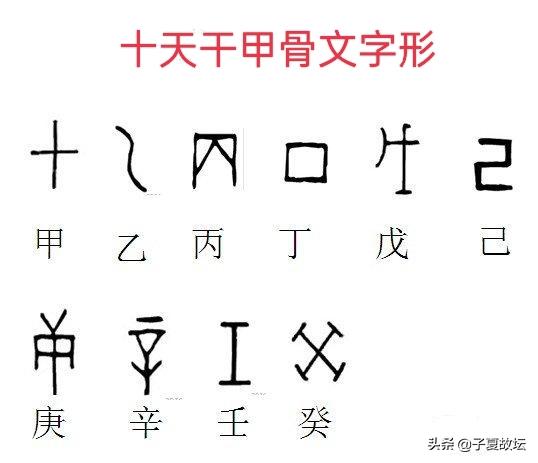 天干十个字的意义,十天干每字代表什么意思