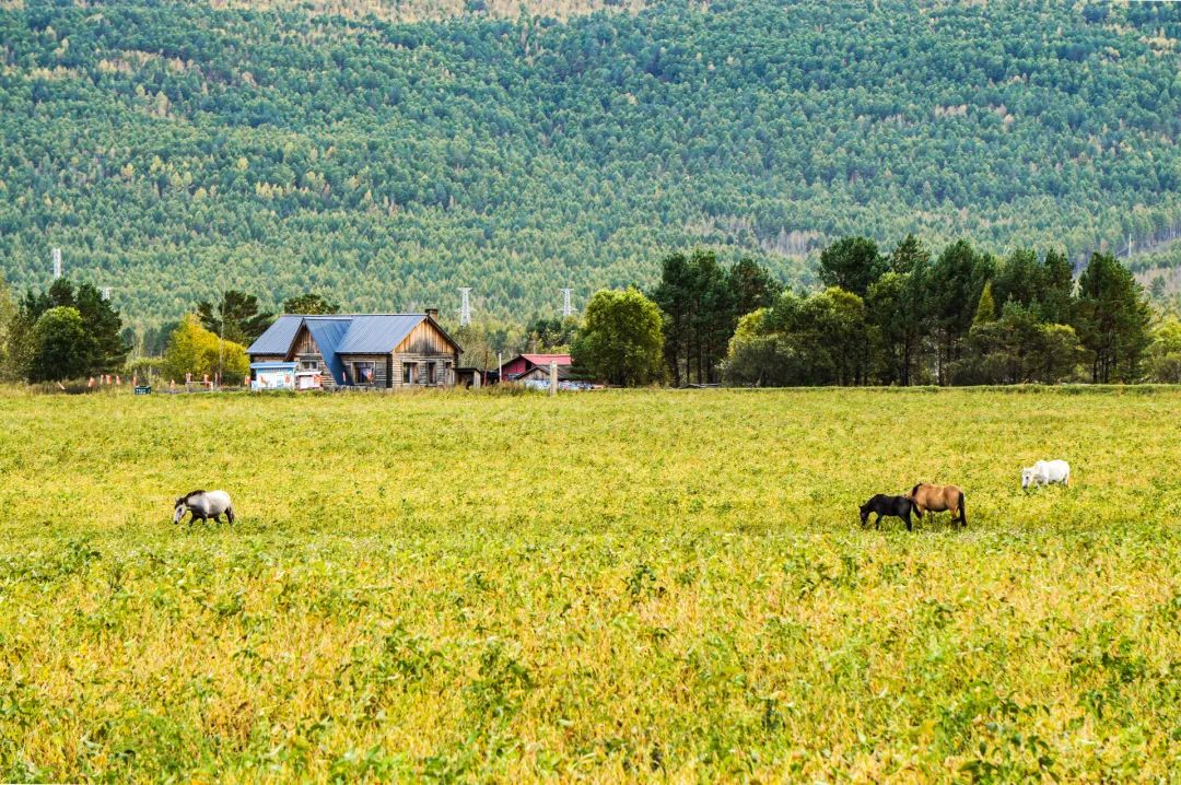 “中国一生必去的50个地方”,各个惊艳!值得收藏!