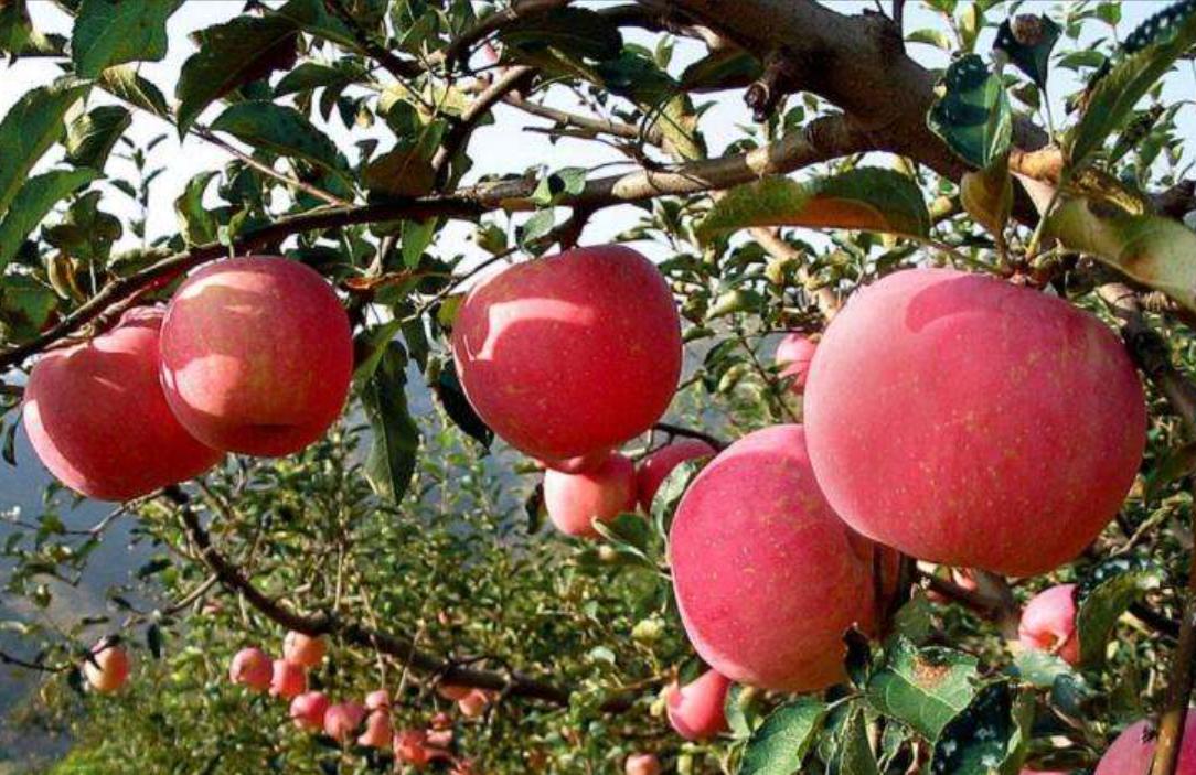 解密-仓单质押保证金业务