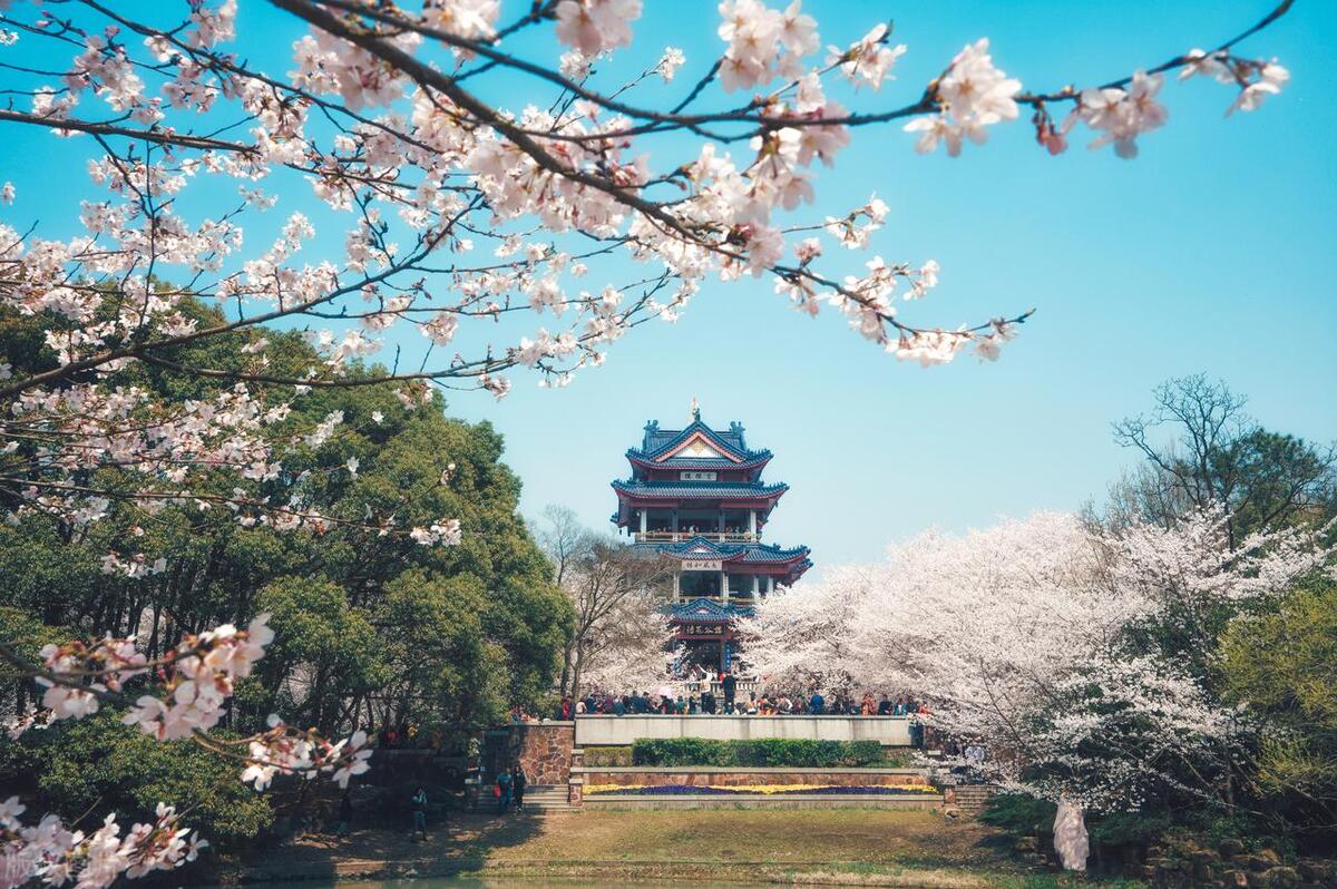 江苏常州焦溪古镇附近景点有哪些,江苏旅游景点推荐打卡