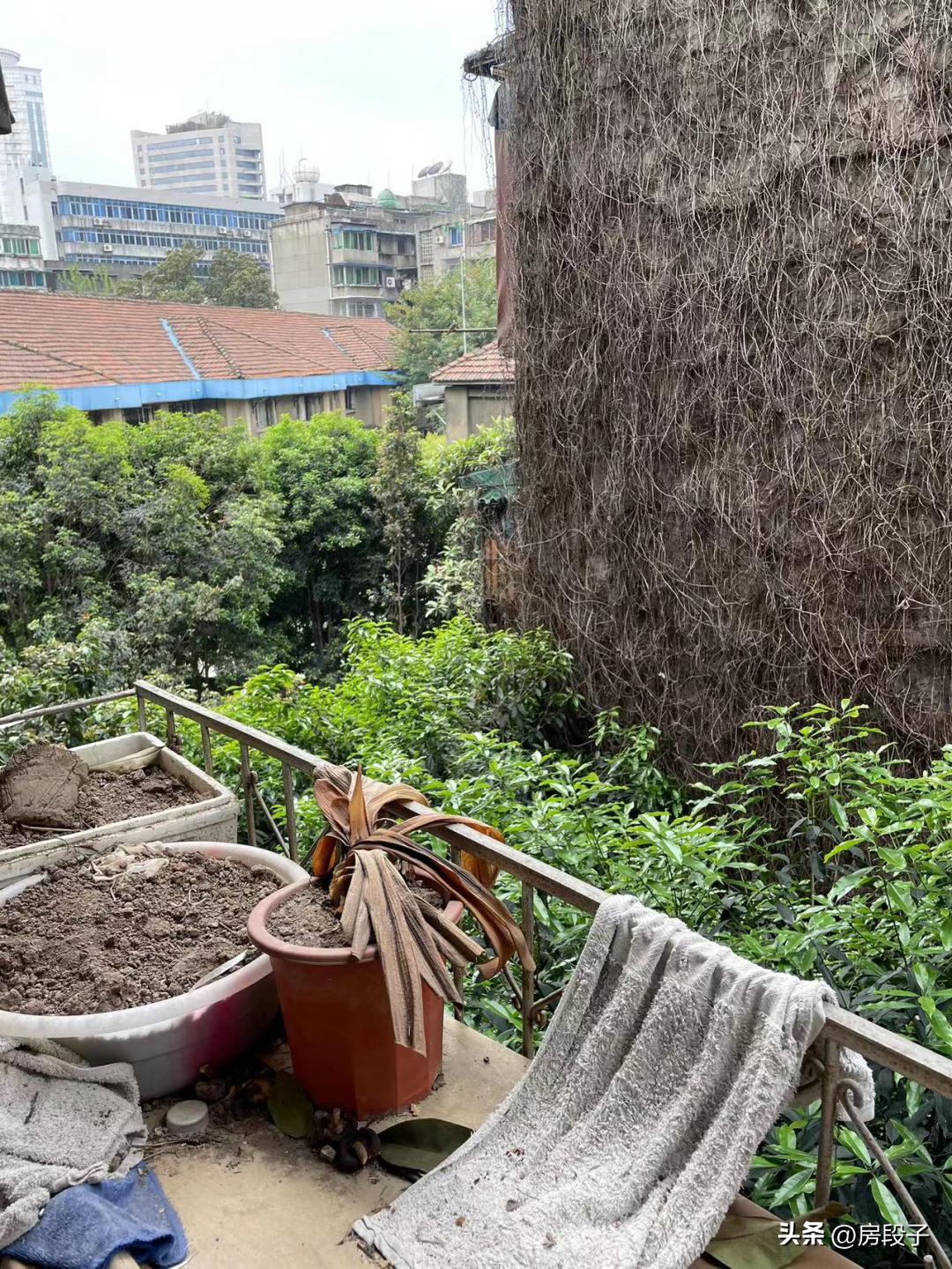 实探青二老破小：差的没下限，好的真动心？