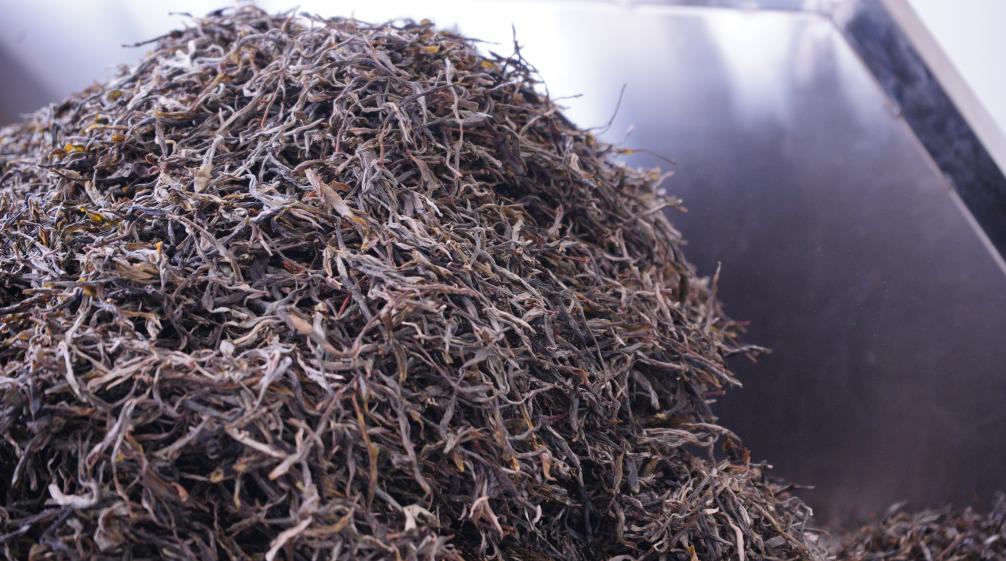 卖茶叶的利润空间有多少,卖茶叶生意利润怎么样