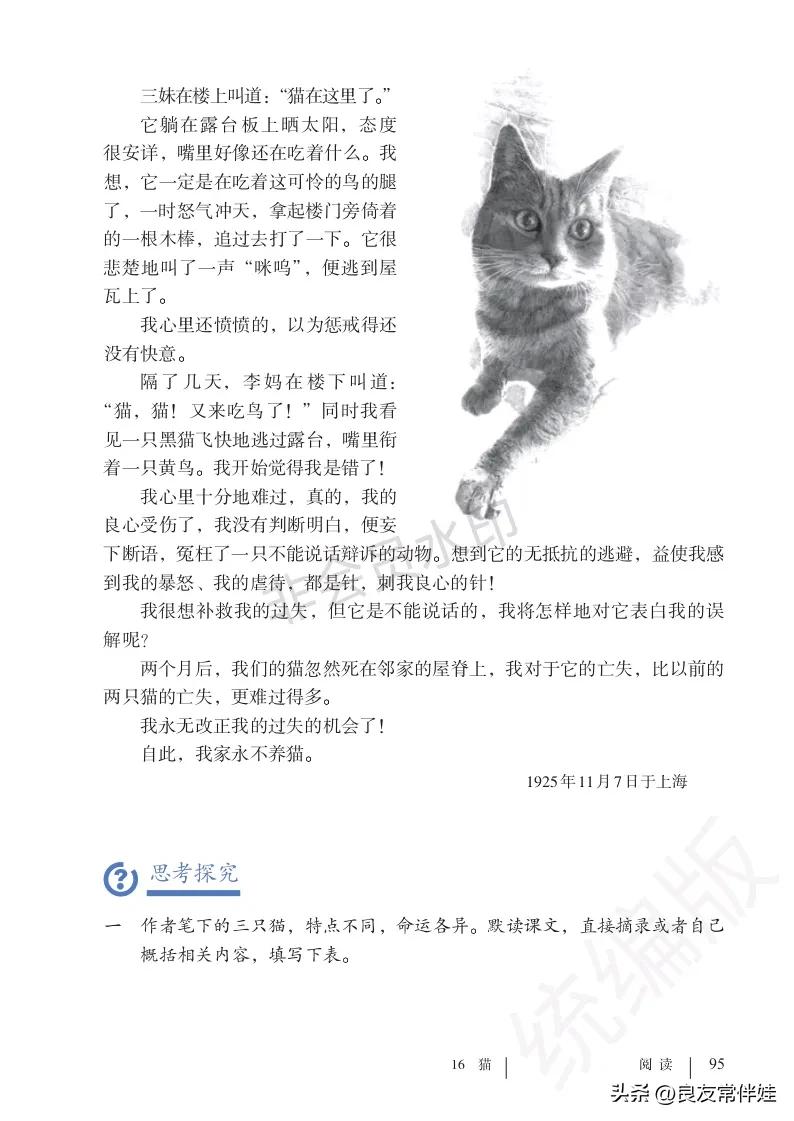 七年级语文课本电子完整版,七年级上册语文教材基础知识手册