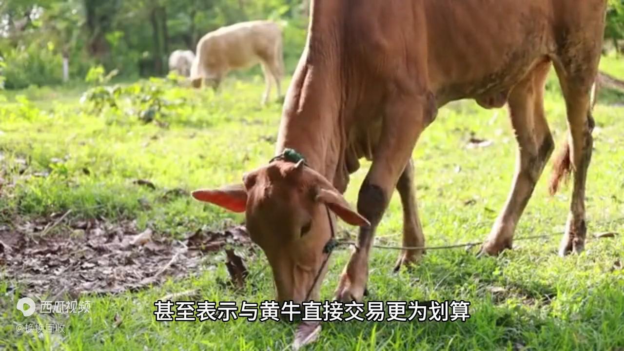 速回收pro-闲置手机回收平台,潢川手机回收平台上门回收