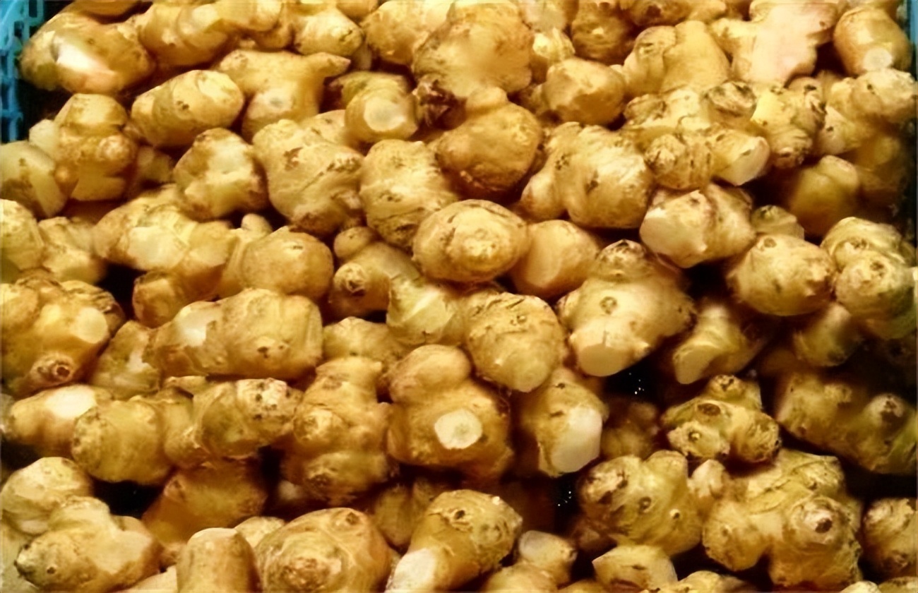 浙江人常吃的蔬菜有哪些,幼儿园常吃的蔬菜有哪些