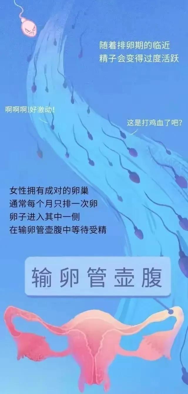 绮惧瓙杩涘叆浜轰綋24灏忔椂鍙樺寲,绮惧瓙杩涘叆浜轰綋1灏忔椂鍙樺寲