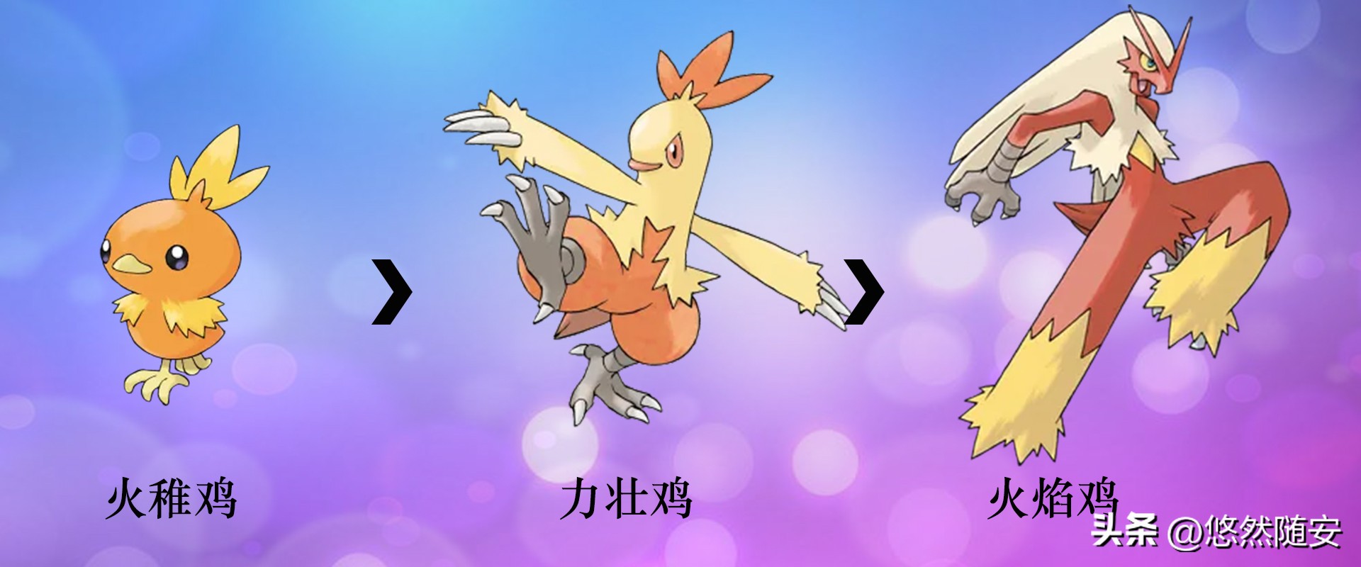 宝可梦伊布全部进化形态,宝可梦剑盾泪眼蜥进化形态