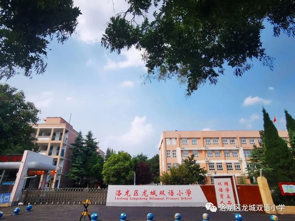 瀹堟姢缇庝附鏍″洯,瀹堟姢鏍″洯骞冲畨闈欏緟瀛︾敓褰掓潵