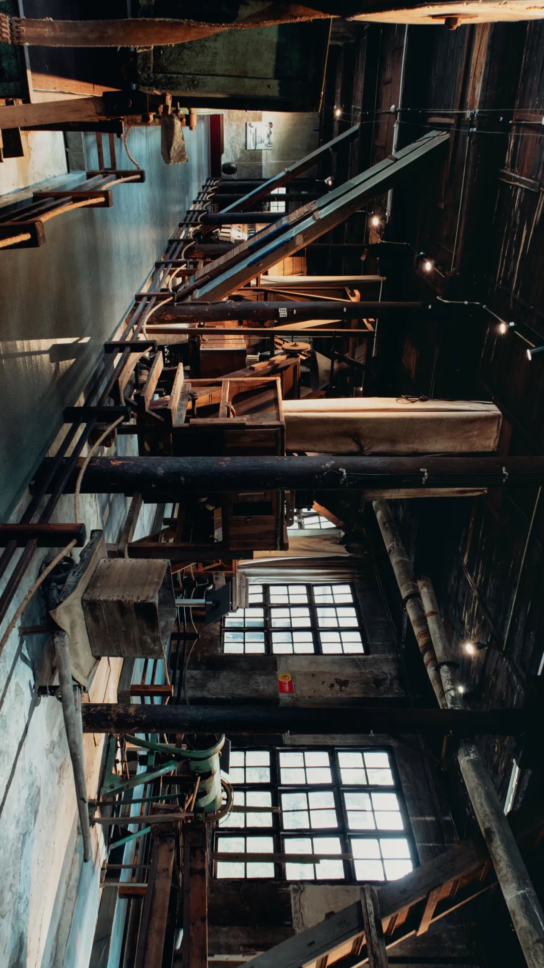 中国茶业历史悠久各种各样的茶叶,中国产茶的四大茶区