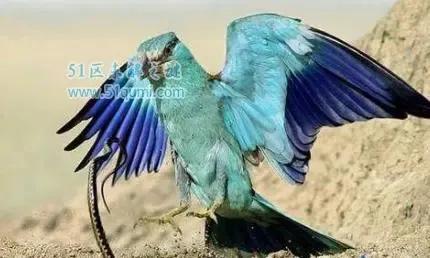 满清10大酷刑分别都有哪些,满清最厉害的酷刑是什么酷刑