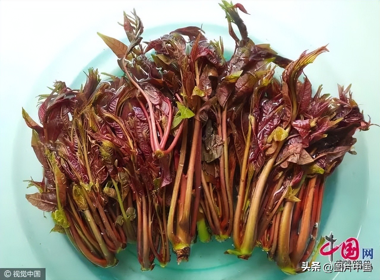 谷雨:春夏之交雨生百谷