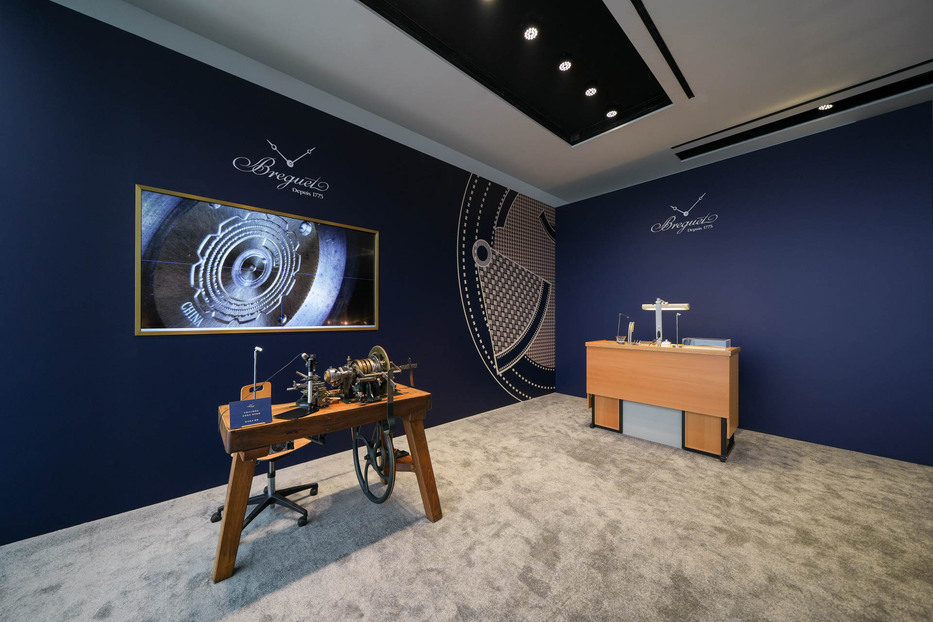 湾区羙好生活周报|星语祝福,十二月新愿季