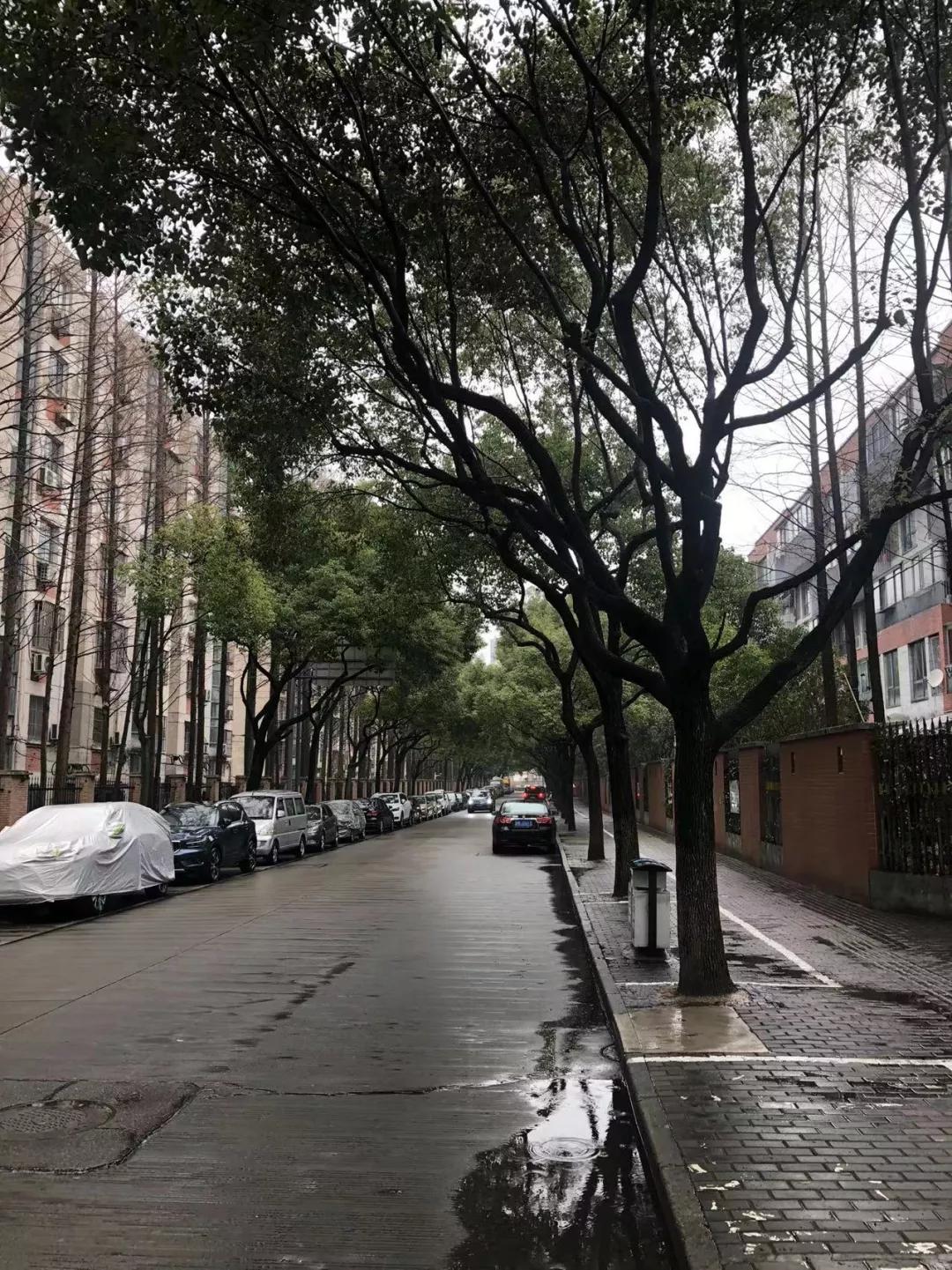 浦东新区哪个地方最适合居住,上海浦东哪个区域适合居住