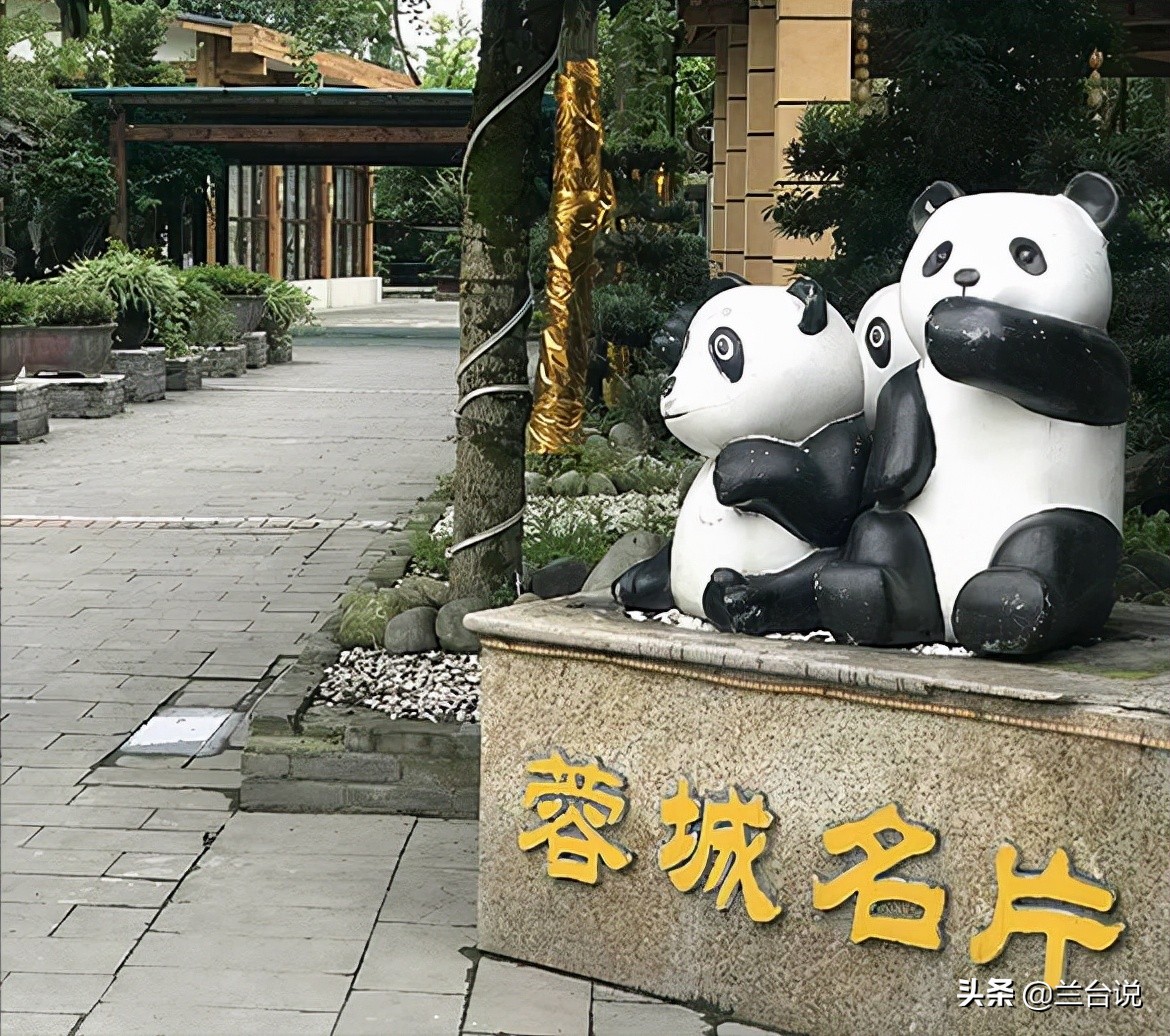 湖南省的省花和长沙市的市花,芙蓉花是长沙市市花吗