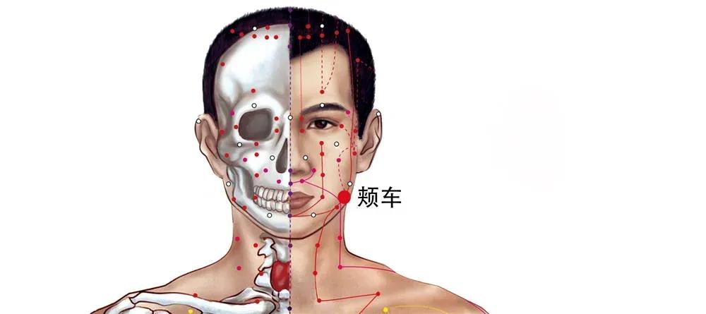 颊车穴治牙疼最快的穴位图,牙痛降火最快的穴位颊车穴在哪里