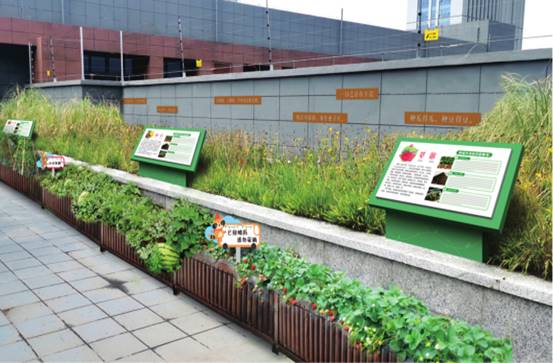 合肥六中高新中学怎么样,合肥高新六中创新实验中学招生