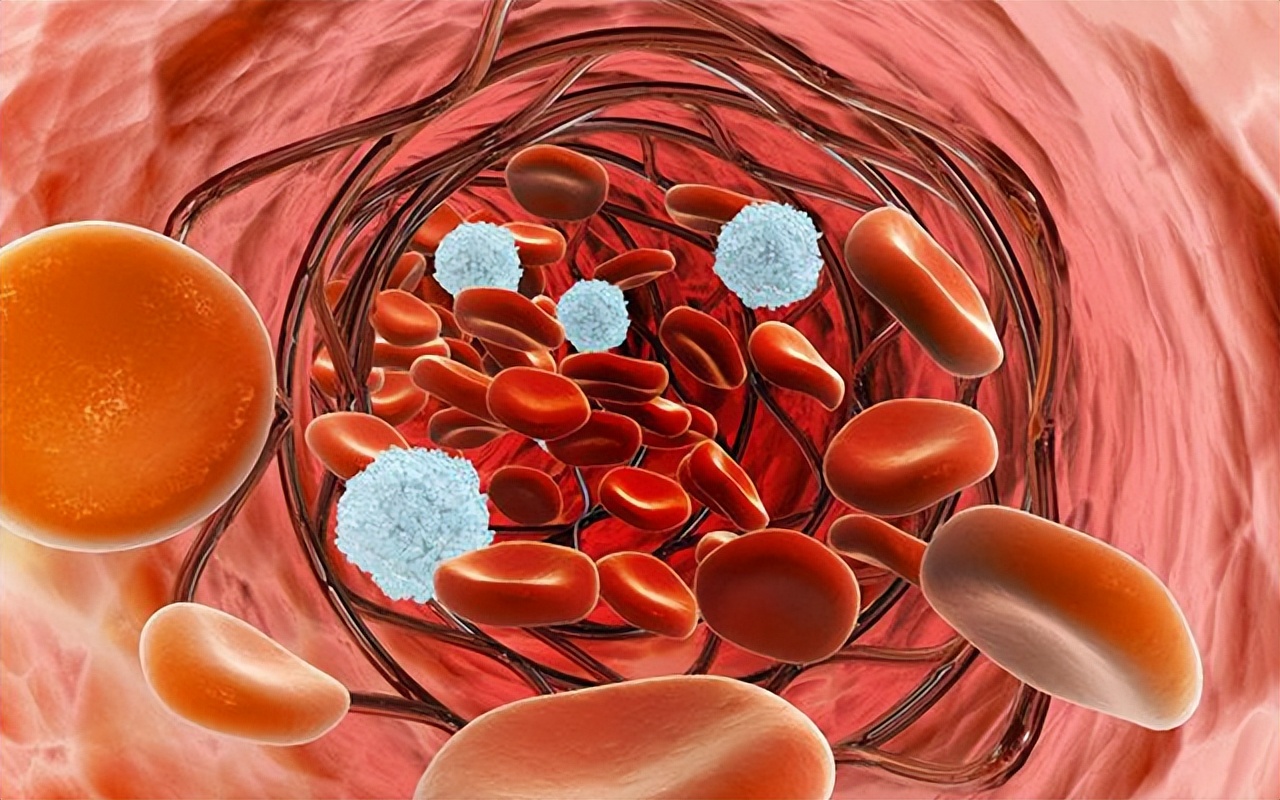 可善挺治疗过敏性紫癜特效药,国外没有过敏性紫癜的特效药吗