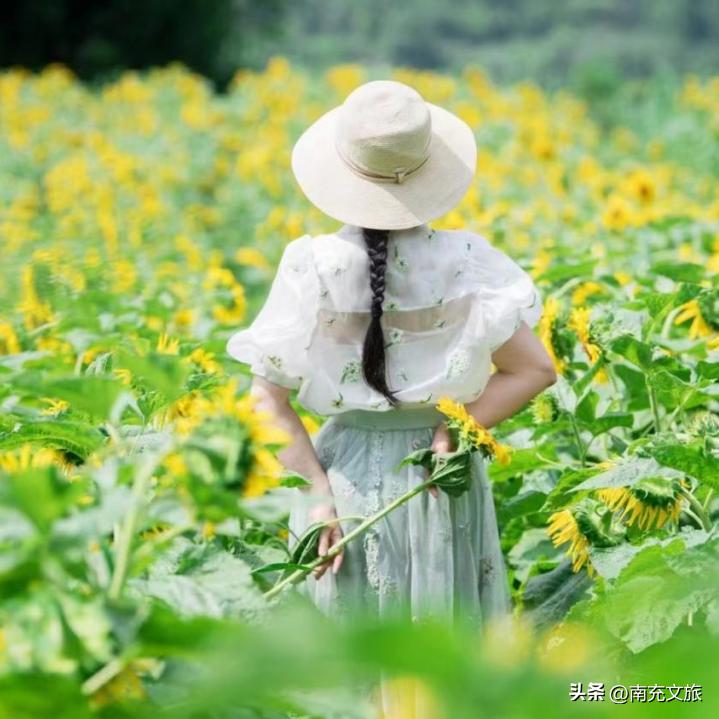 当南充美景遇上“多巴胺”这就是想象中夏天的样子！