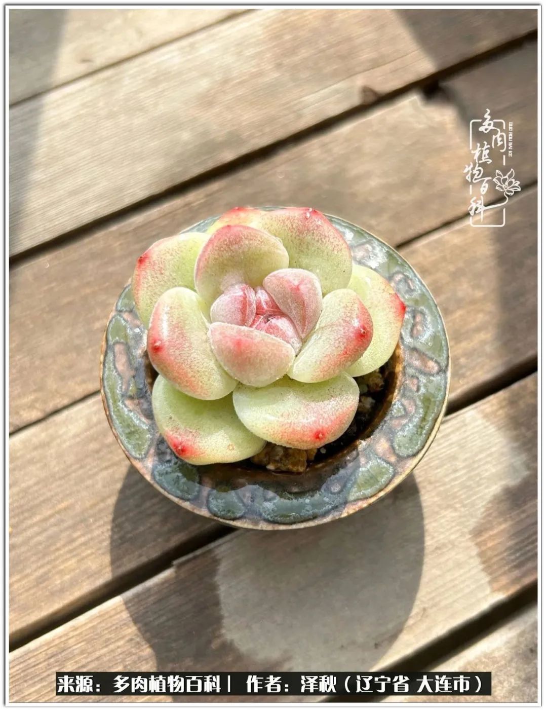 四季轮回之秋天,四季轮回之冬季