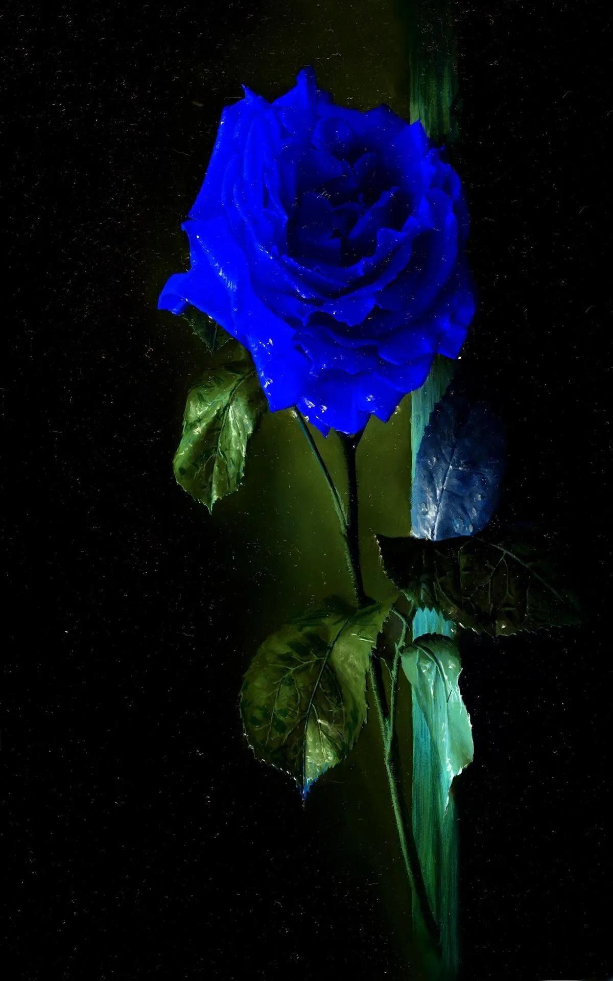 蓝色妖姬花束壁纸,花朵壁纸蓝色