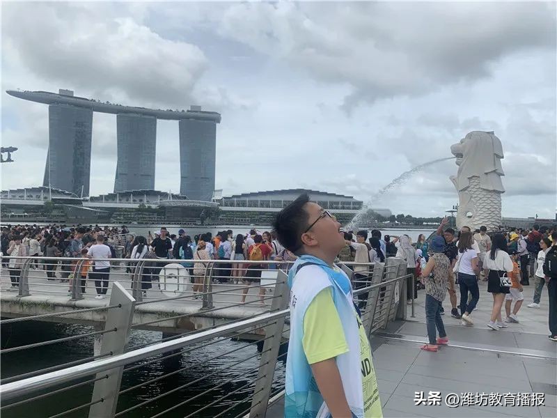 潍坊中新双语好进吗,潍坊中新双语校园