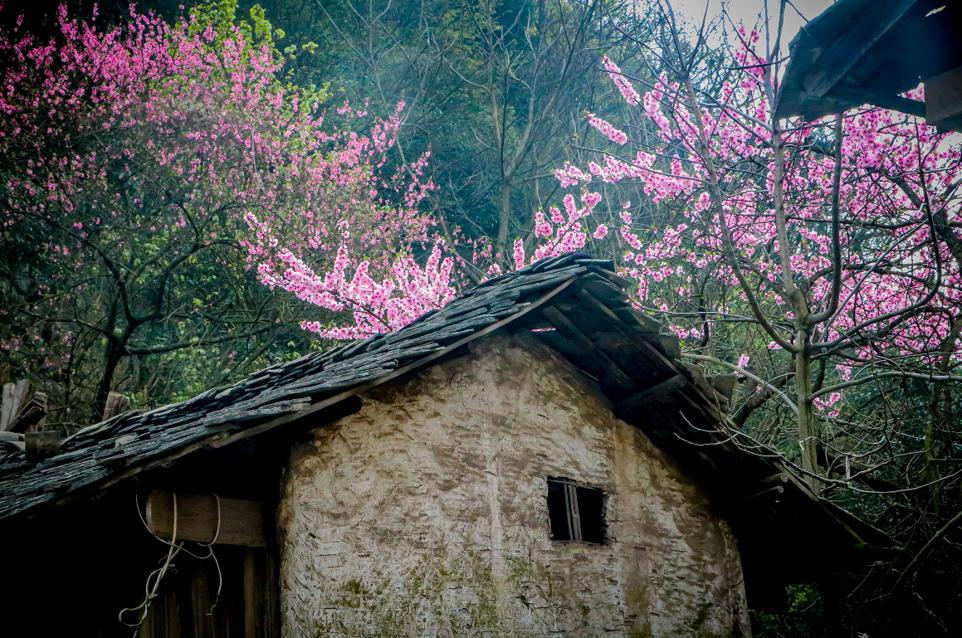安顺市自然风景区,贵州安顺风景介绍视频