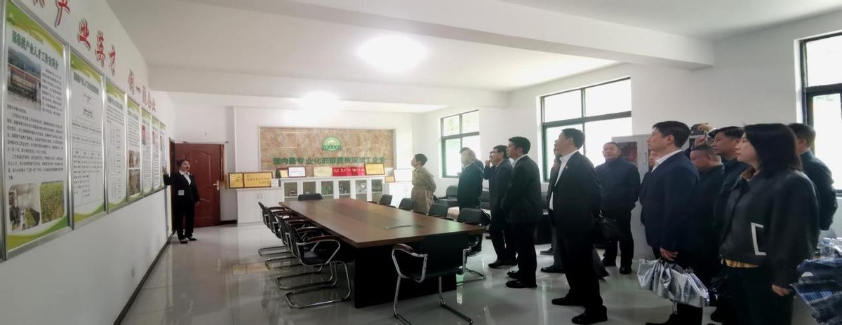 镇安观摩会重点项目,镇安县交流会