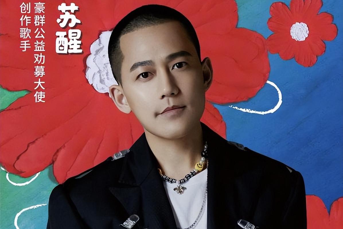 苏醒放狠话,苏醒犀利的发言