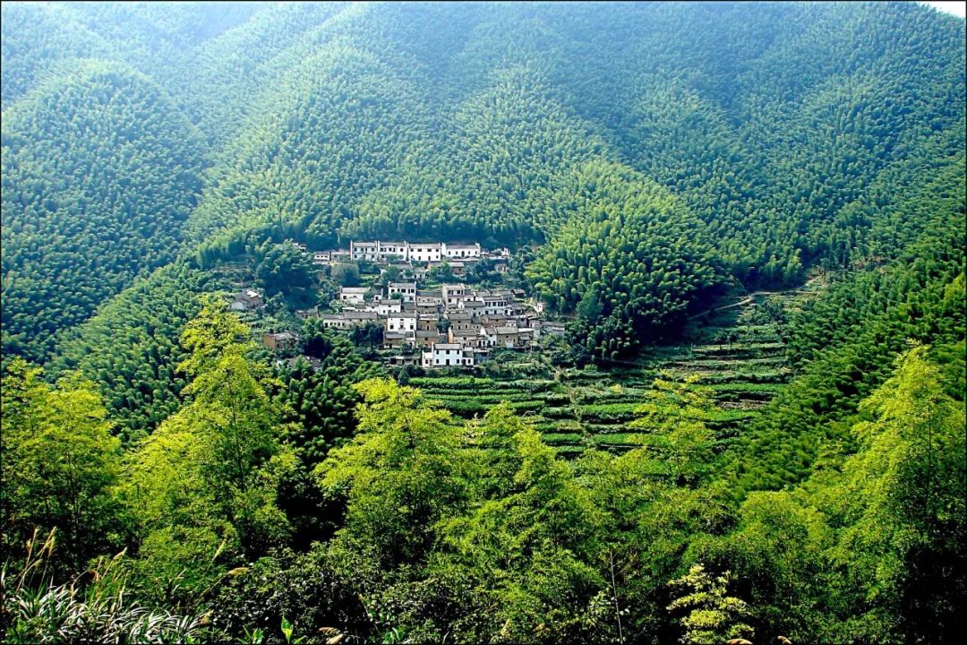 自驾去黄山路线攻略,夏季黄山自驾5条绝美路线攻略