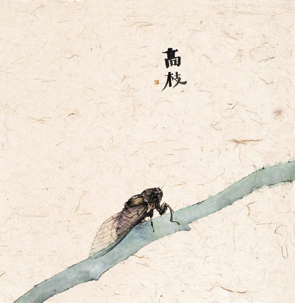 李知弥蔬果图,李知弥作品苦瓜