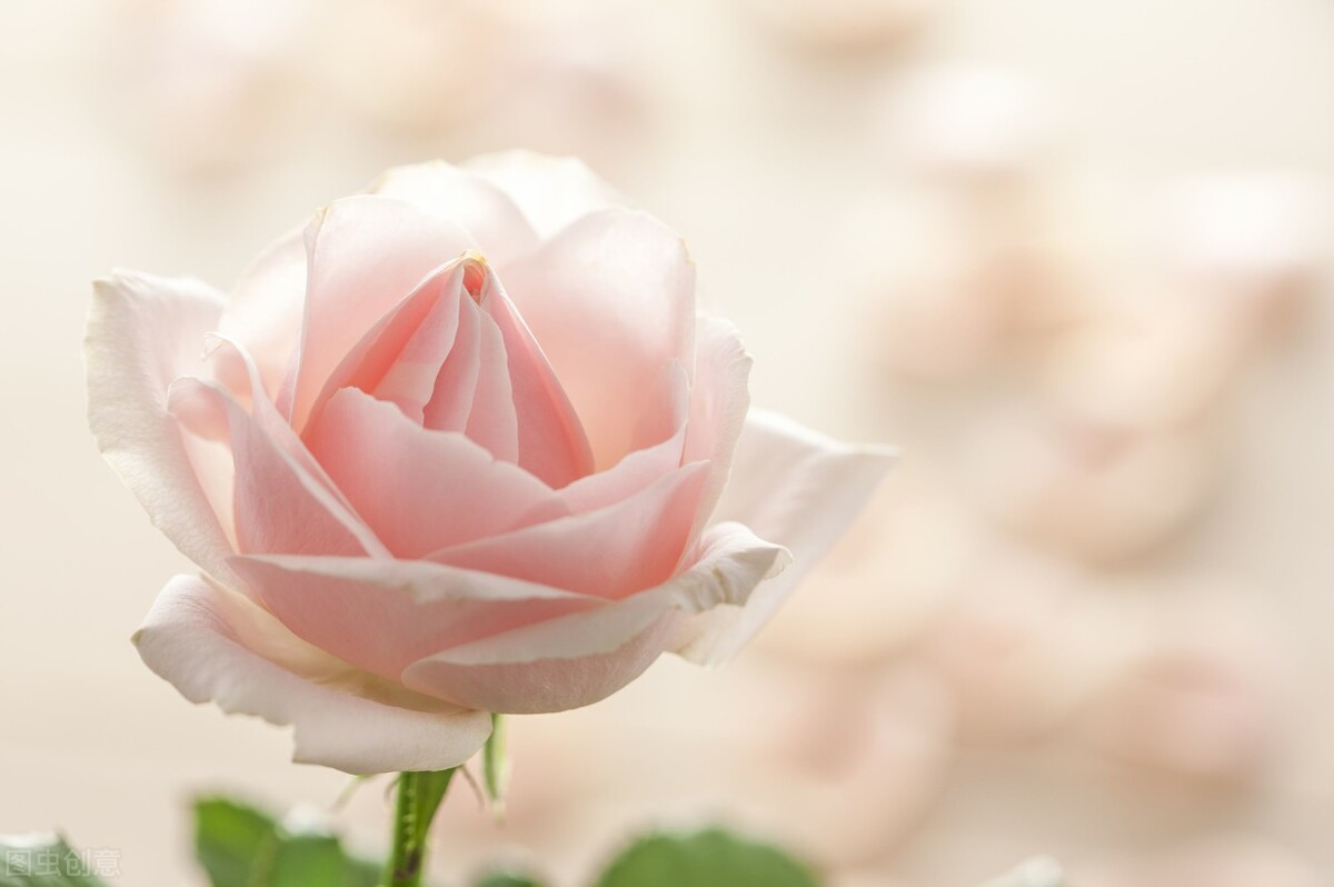 40岁失业怎么走出迷茫,40岁失业了做什么好呢