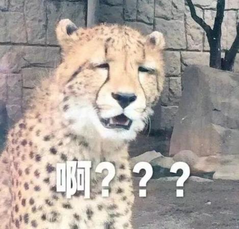 女孩早上爬墙去约会，私密处被保安倒刺刺伤，女孩：好尴尬