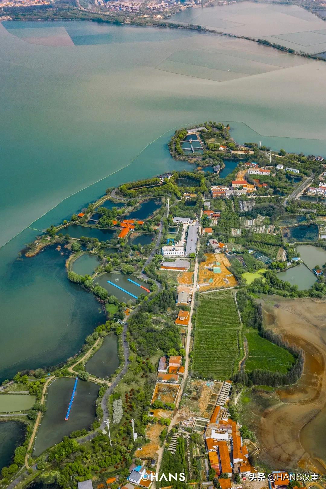 武汉重磅信息,武汉最新重磅利好