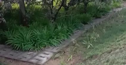 女人一定要管住自己的肚子,女人一定要管住自己