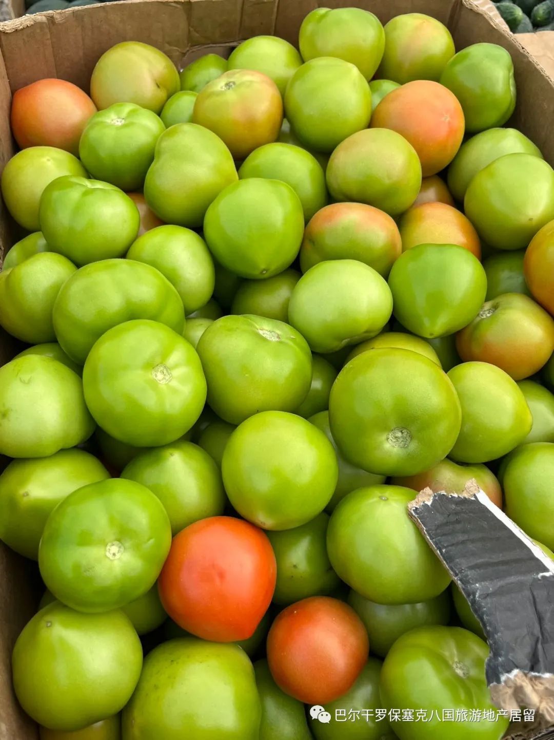 罗马尼亚蔬菜,罗马尼亚大型水果批发市场