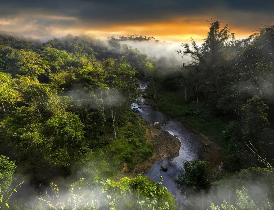 有一种生活叫做云南的生活,有一种叫云南的生活原文
