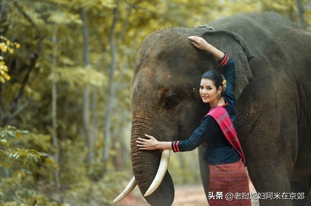 自由行老挝陆地口岸入境全攻略！超级简单！手把手教你快速通关！