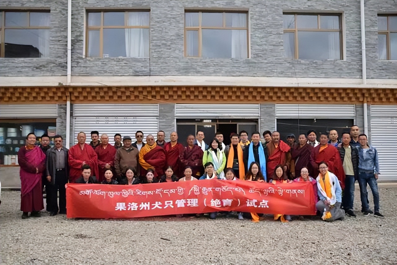 川藏线遇到流浪犬,川藏线为什么那么多流浪狗