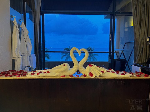 三亚万豪亚龙湾度假酒店入住,亚龙湾希尔顿度假酒店占地面积