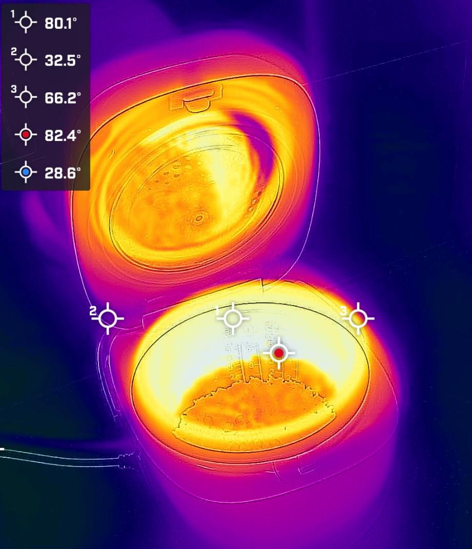 米饭煮的好和电饭煲有关系么,煮了5天的米饭还能吃吗