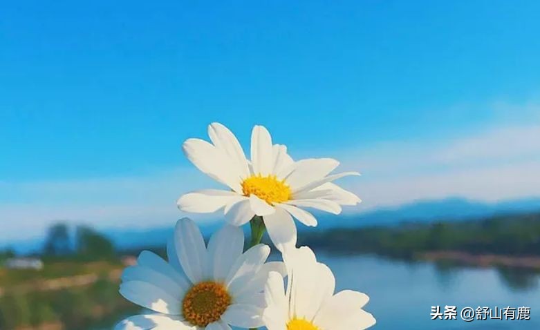 人老了要和4种人斩断缘分,人老了要和这几种人斩断缘分