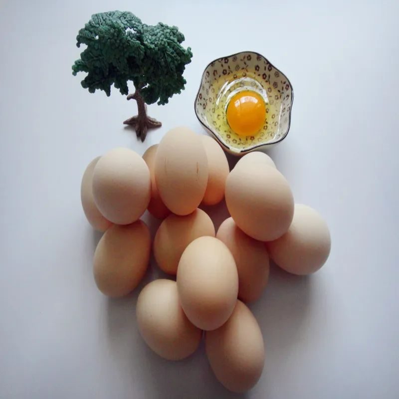 汶川旅游景点十大排行榜,四川旅游推荐汶川