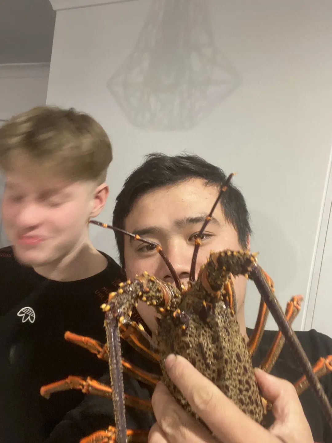 孙哥在新西兰:15岁退学,17岁生子,28岁出国,一小时挣200元