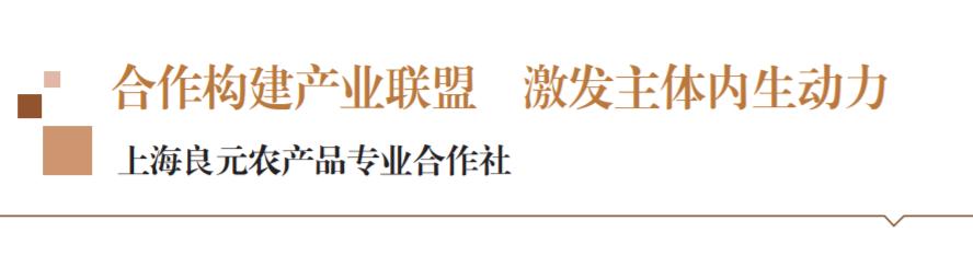 农业合作社促进产业融合,上海良元农产品专业合作社地址