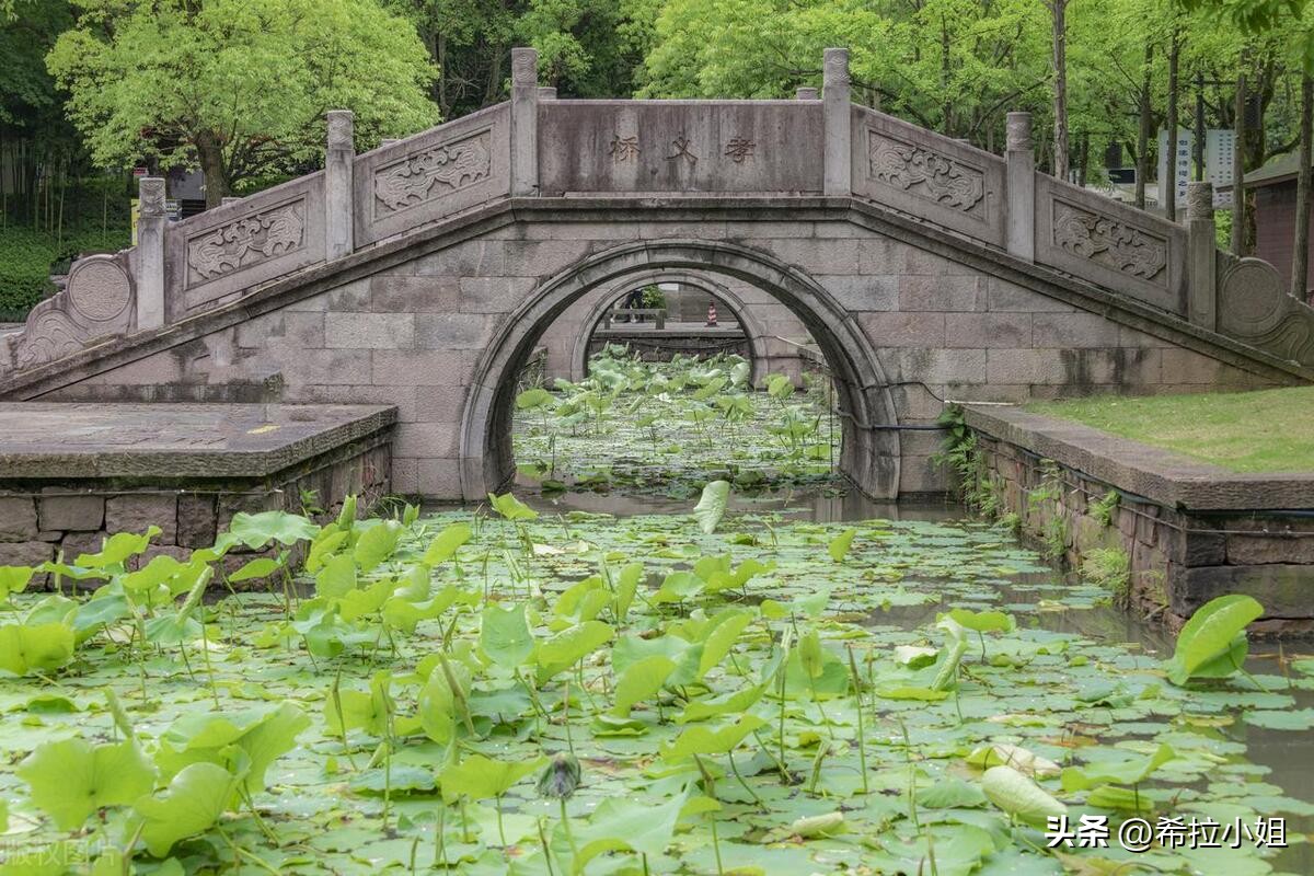 绍兴周边游玩,绍兴周边必去的十大景点免费