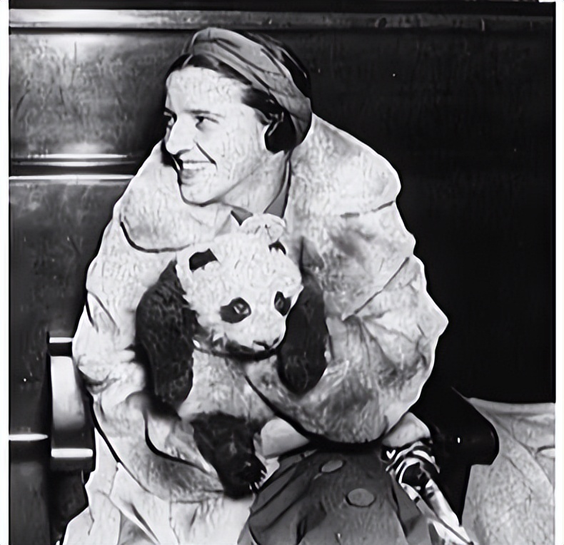 我国被偷的大熊猫,外国人偷大熊猫有多疯狂