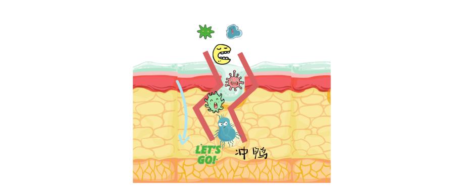 肠道菌群检测有哪些科研方法,肠道菌群检测可以查出哪些疾病