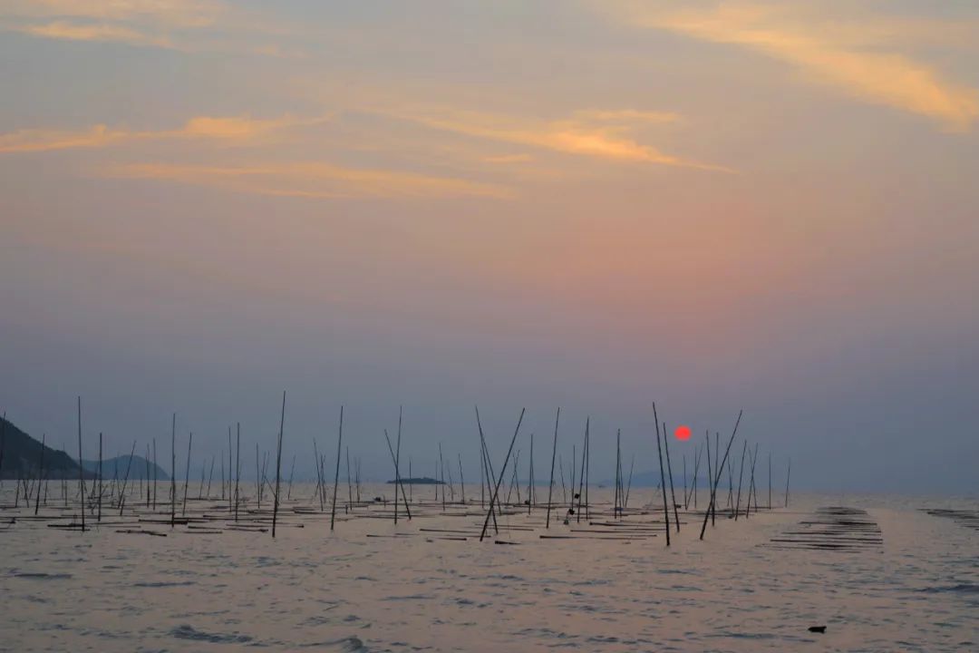 海美、小吃巨好吃！这个神还原游戏世界的小城，不该这样被埋没！